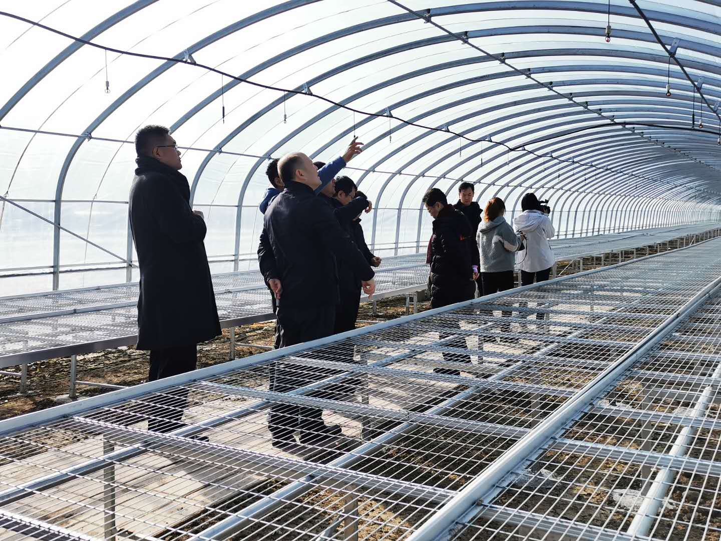 U乐国际(中国区)集团