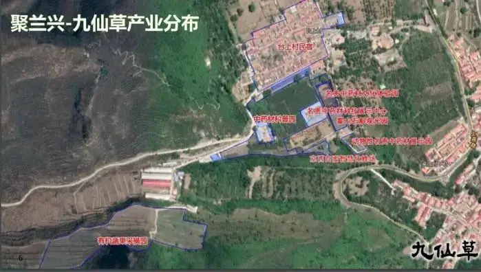 U乐国际(中国区)集团